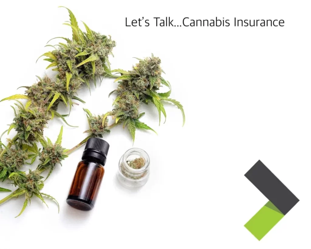 Cannabis Insurance with Beyond Insurance